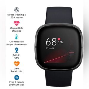 Fitbit Sense Health & Fitness Smartwatch in Shadow Grey. In mint condition